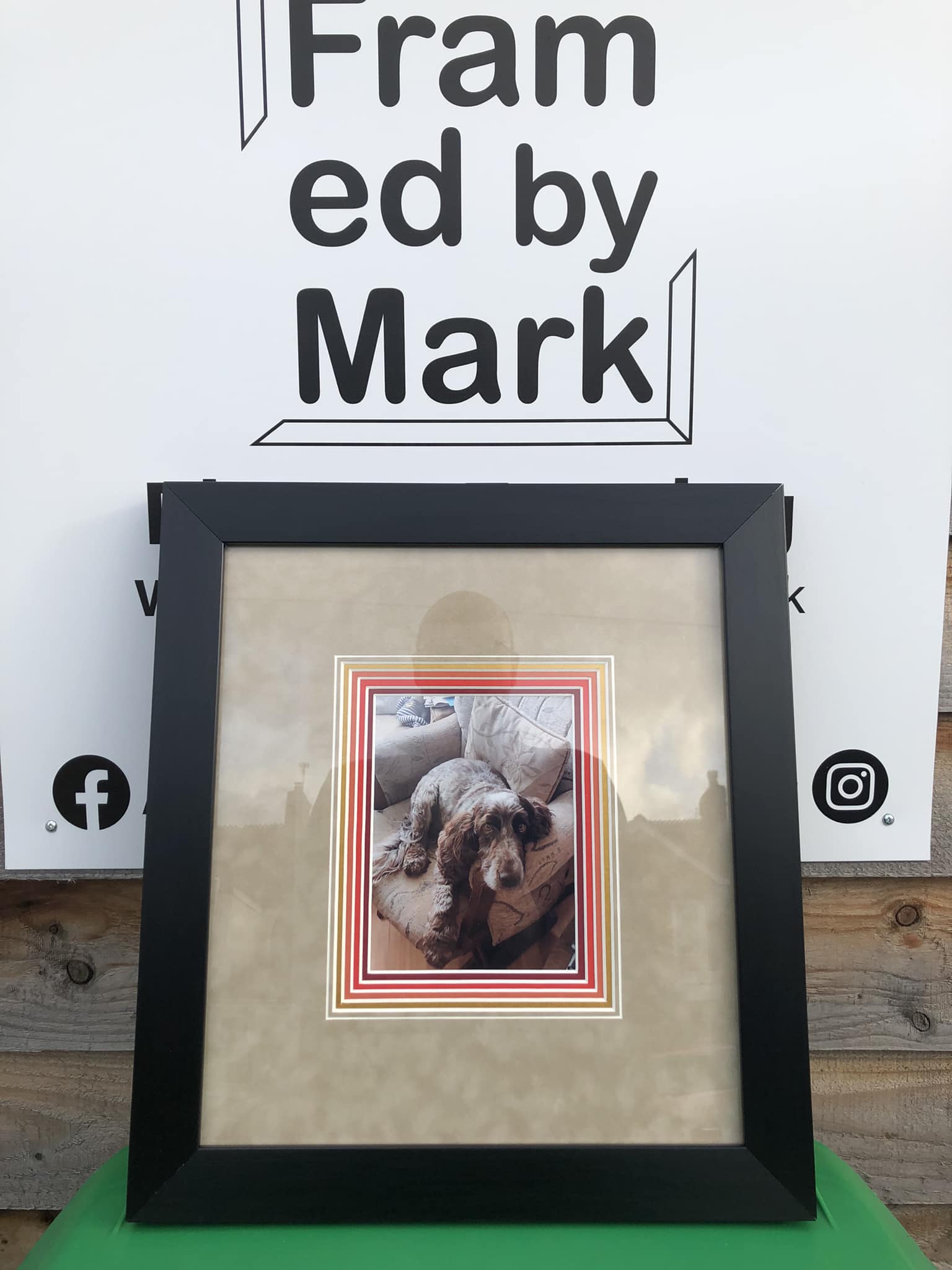 Framed by Mark - Pet portrait framing